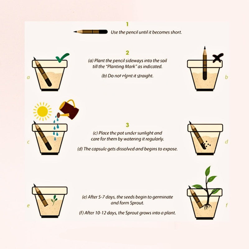Christmas Seed Pencil - Plantable Favor For Christmas Gift