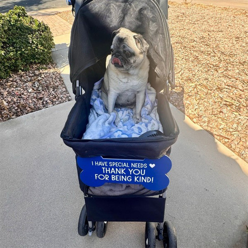 Sign for Special Needs Dogs Pet