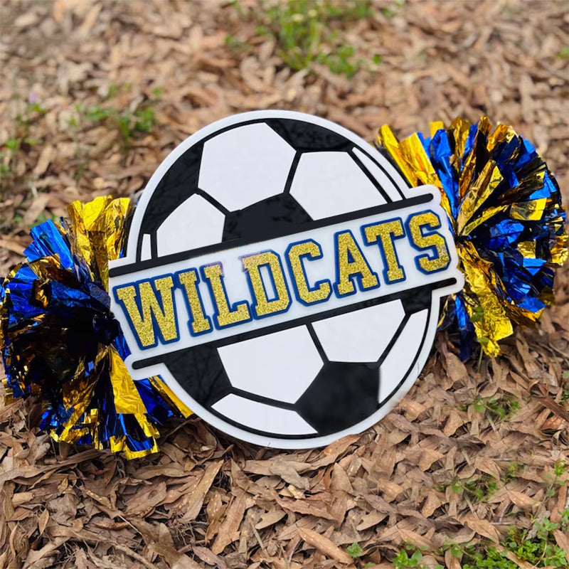Cheer Stick with Poms for Volley /Soccer /Cheer /Baseball / Football /Cheer | Fans Custom Spirit Accessory