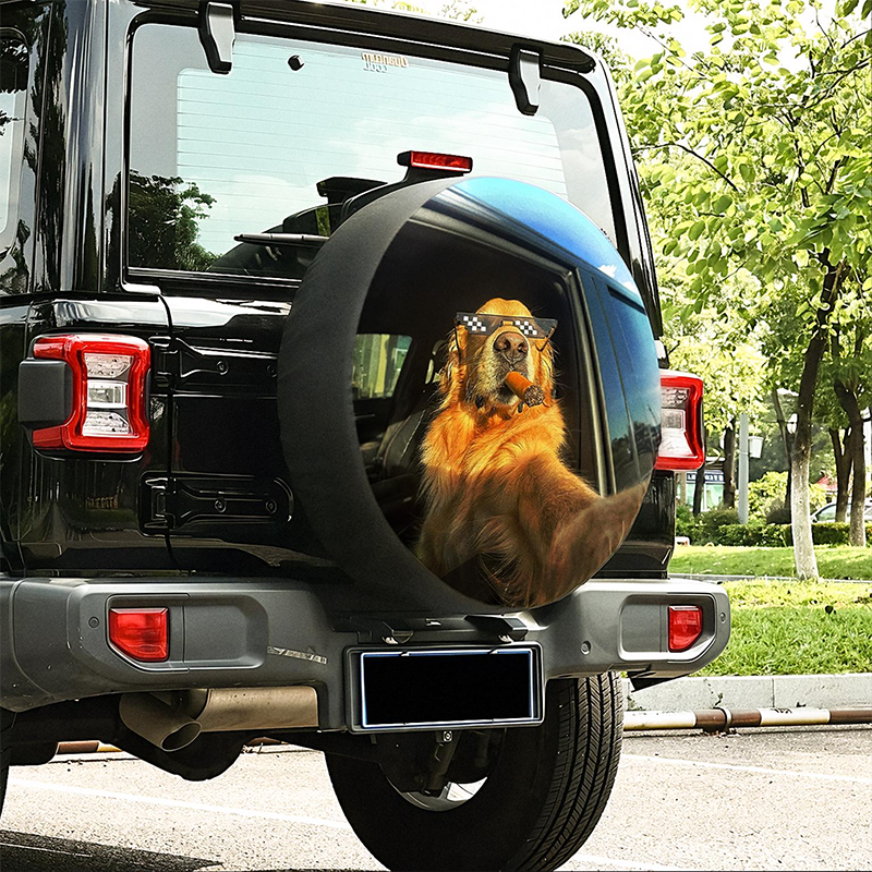 Personalized custom-made tire covers,With camera hole