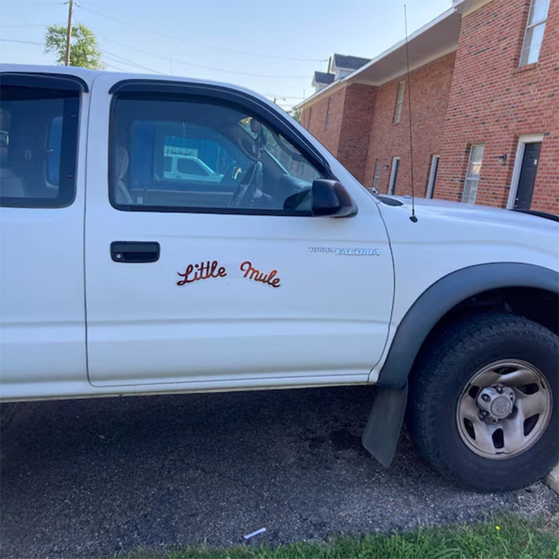 Personalized Logo Magnet Magnetic Car Signs