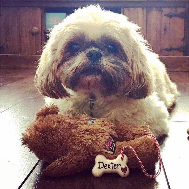 Dog Christmas decoration, personalised Christmas decoration
