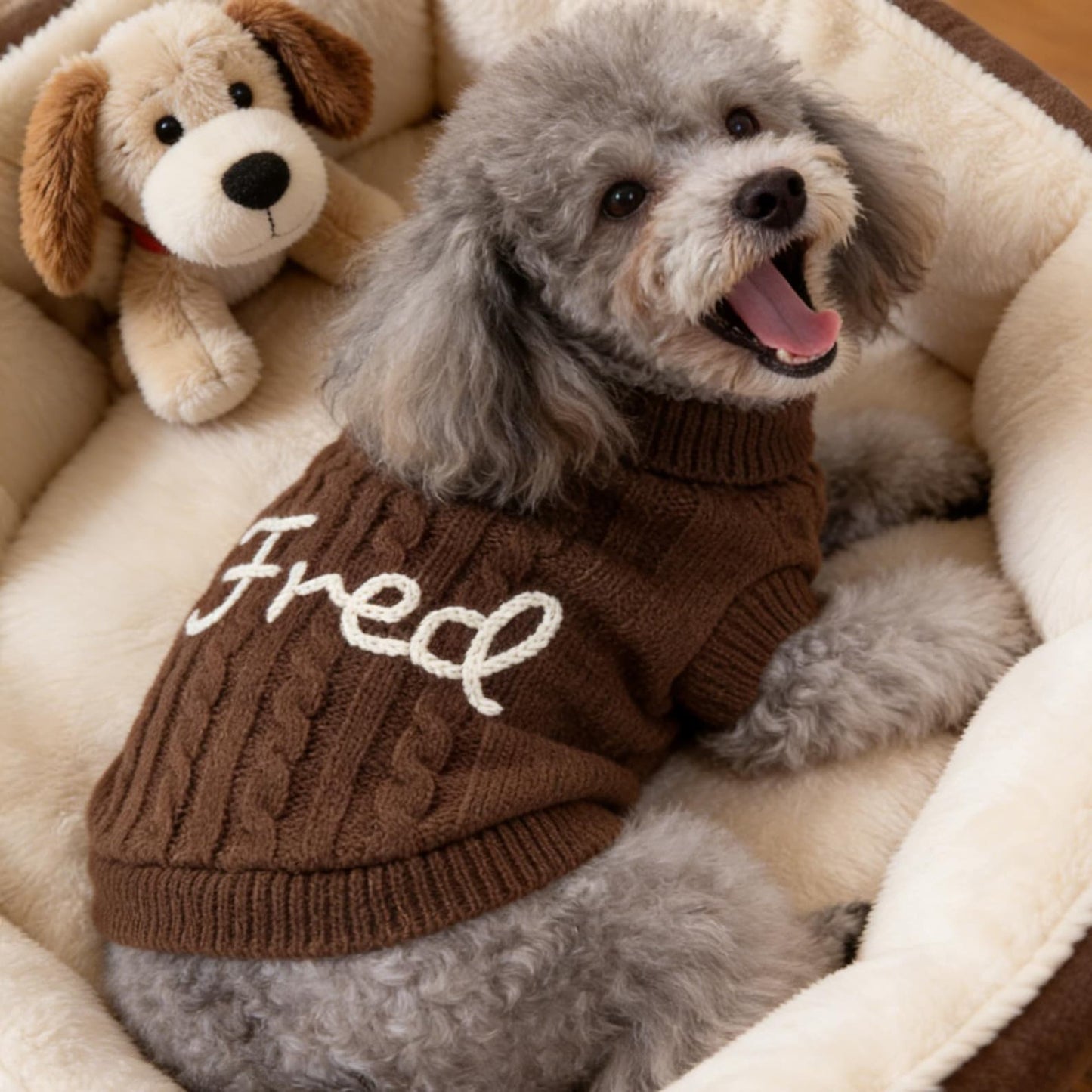 Personalized Dog Name Sweater, Custom Dog Jumper, Embroidered Pet Name Clothing