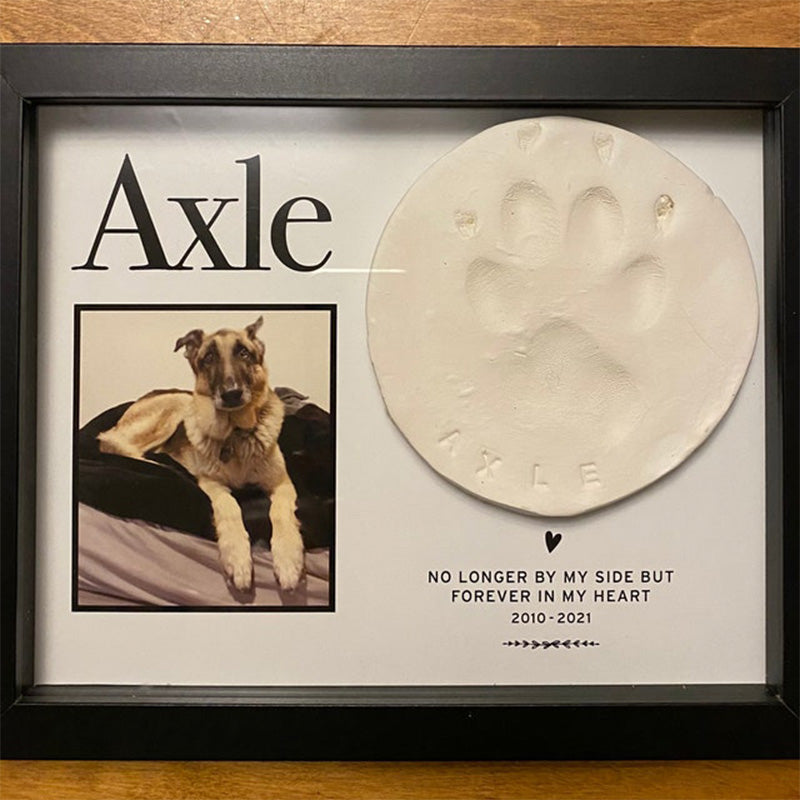 Pet Memorial Paw Print Holder Shadow Box