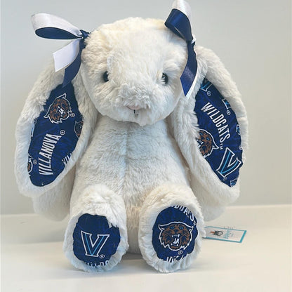Custom Collegiate Jellycat Bunny: College Acceptance, Graduation