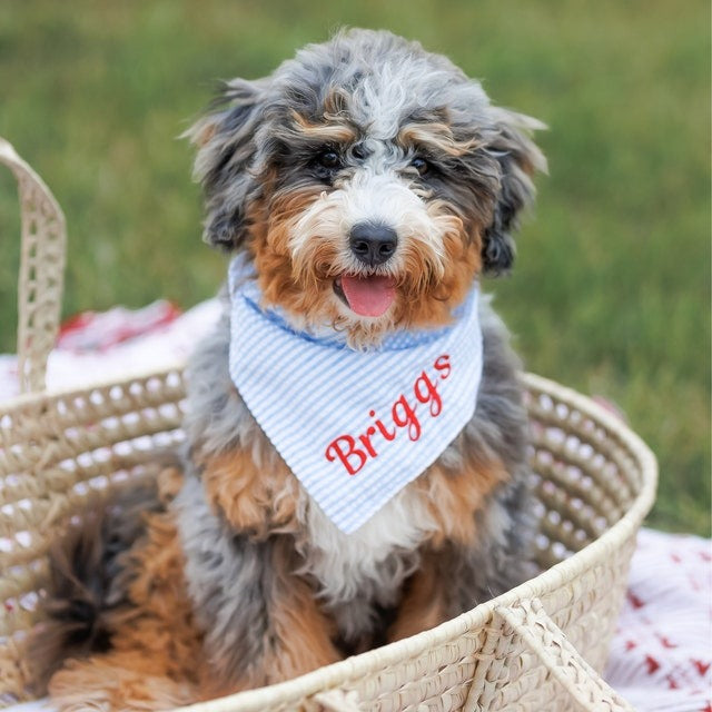 Embroidered Personalized Dog Bandana  Custom Tie On