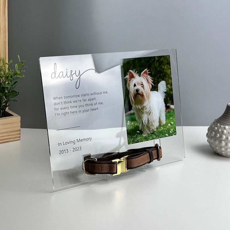 Memorial Pet Collar Frame, Pet Loss Gift, Memorial Pet Collar With Photo