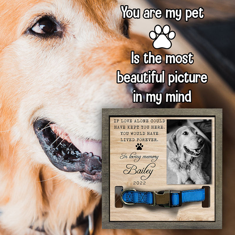 Memorial Pet Collar Frame, Black & White Photo, Loss of Dog, Cat Loss Gifts, Pet Collar Holder, Memorial Standing Frame
