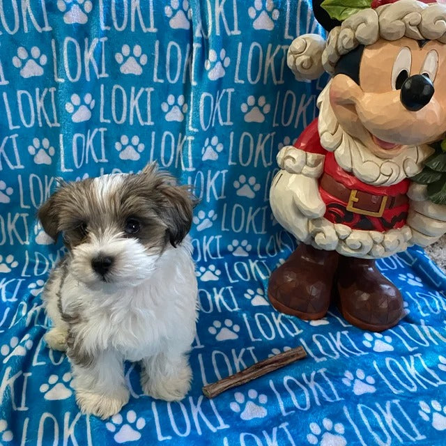 Custom Dog or Cat Name Blanket