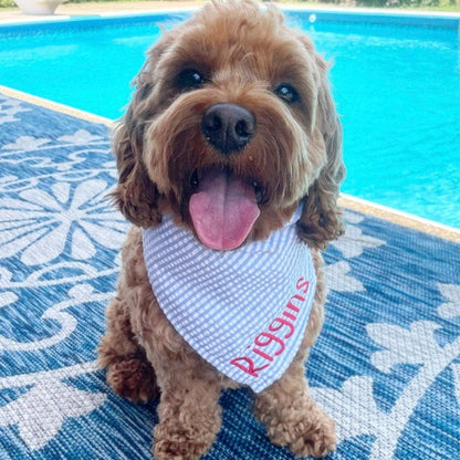 Embroidered Personalized Dog Bandana  Custom Tie On