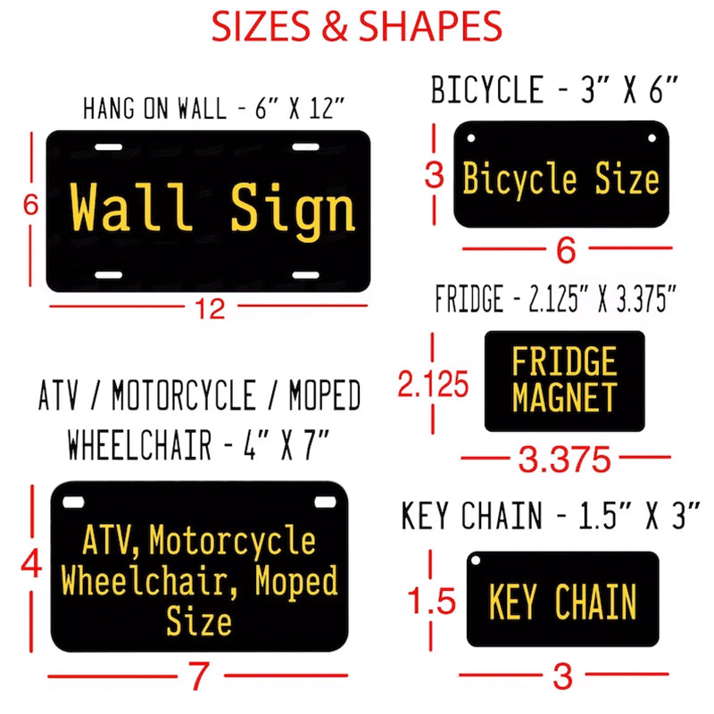 Customized Any Style License plate Any Color Any Text Design