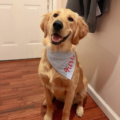 Embroidered Personalized Dog Bandana  Custom Tie On
