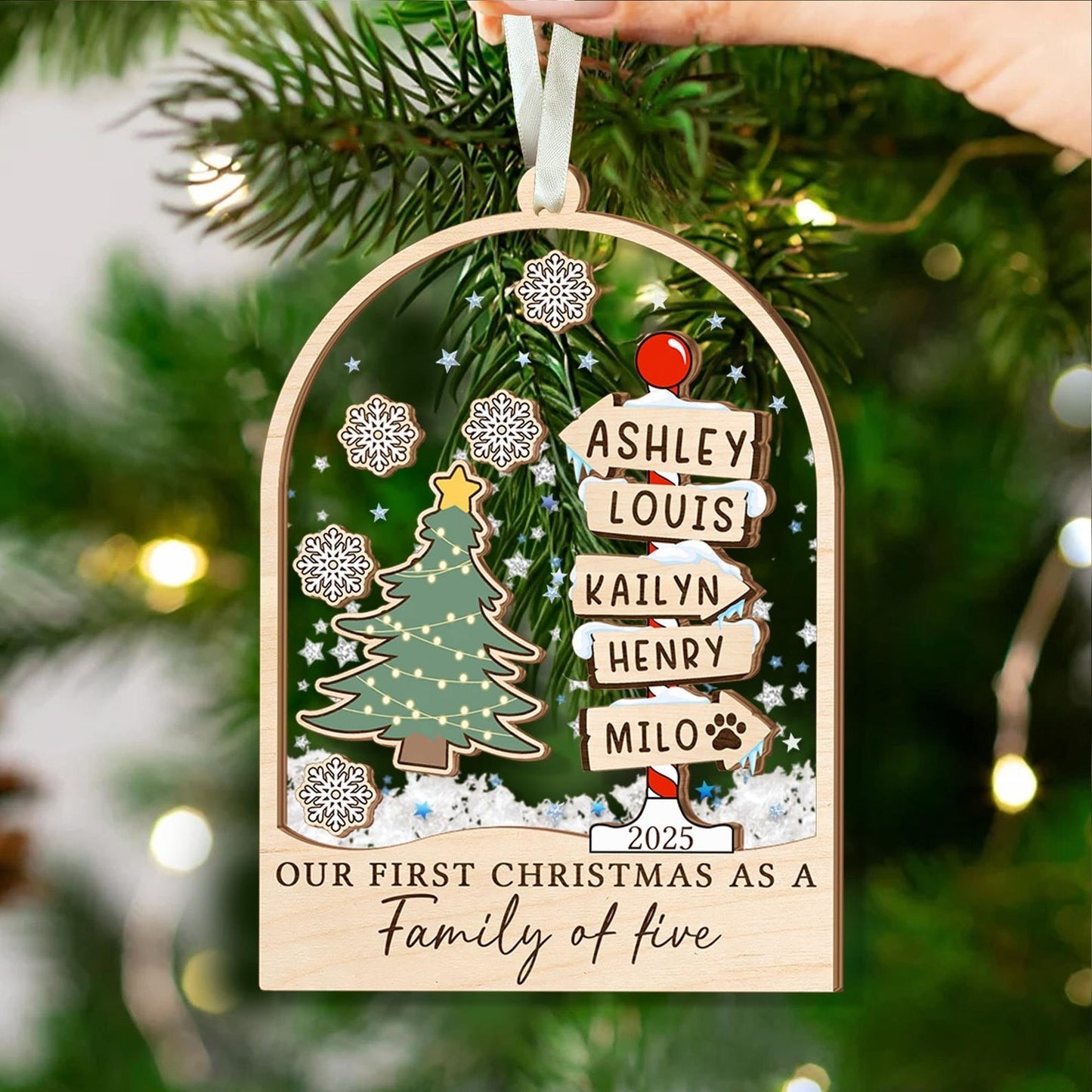 Personalized Family Christmas Ornament: Acrylic Shaker Ornament