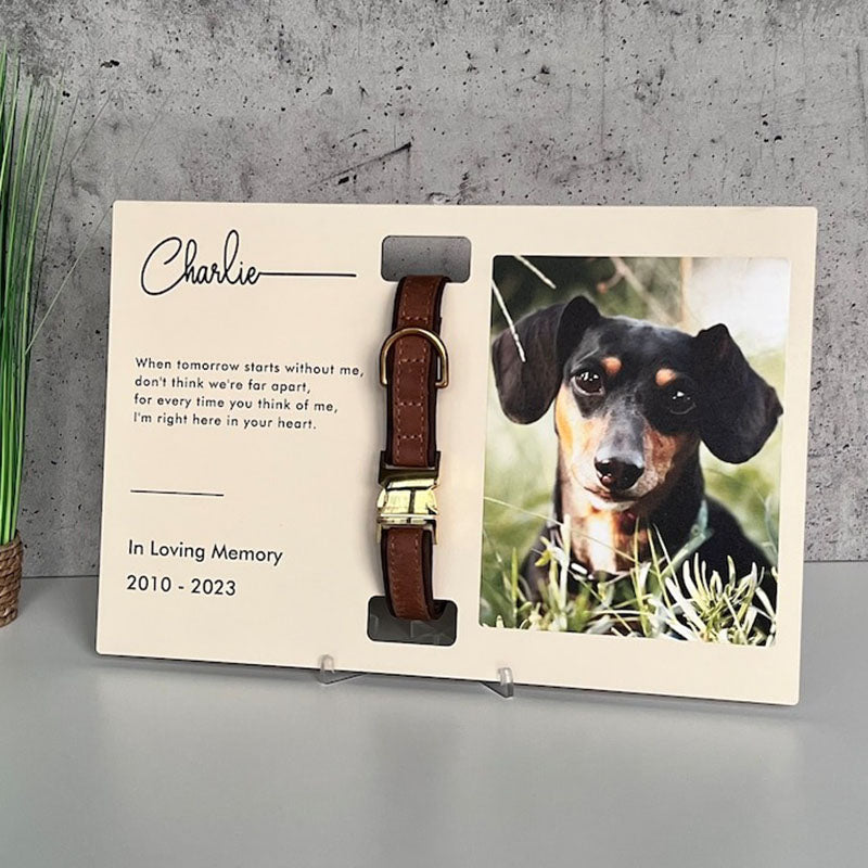 Memorial Pet Collar Frame, Pet Loss Gift, Memorial Pet Collar With Photo