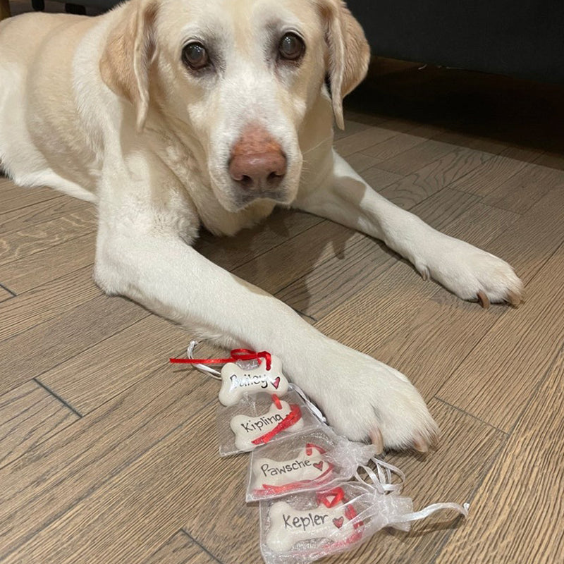 Dog Christmas decoration, personalised Christmas decoration