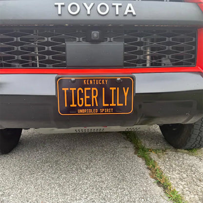 Customized Any Style License plate Any Color Any Text Design
