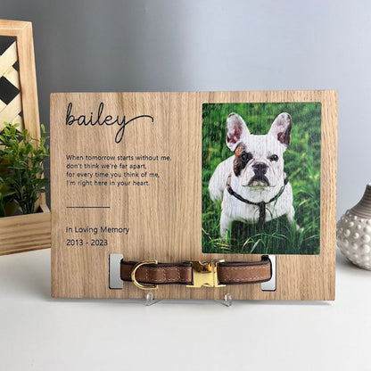 Memorial Pet Collar Frame, Pet Loss Gift, Memorial Pet Collar With Photo