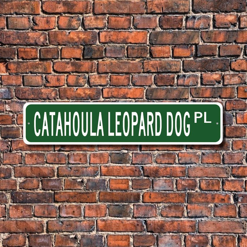 Custom Street Sign, Metal Street Sign, Personalized Street Sign