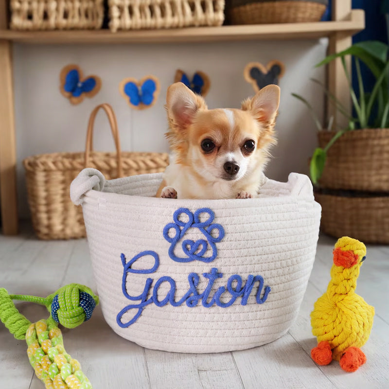 Personalized Cat toy basket Custom kitten treat bin