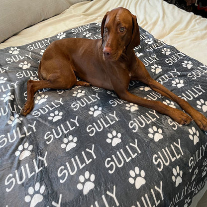 Pet Personalized Paw Print Name Blanket, Custom Dog Blanket, Plush Blanket, Pet Lover Gifts