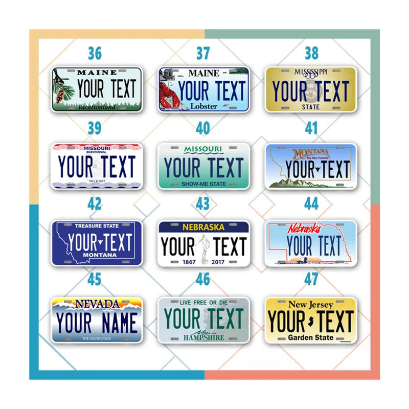 Custom Mini state License Plates | All 50 Sates | 4x2 - 6x3