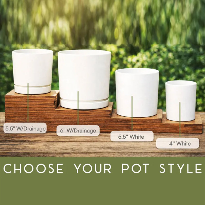Thank You Gift for Teacher Appreciation, Thank You for Helping Me Grow Personalized Teacher Pot