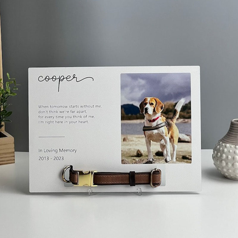 Memorial Pet Collar Frame, Pet Loss Gift, Memorial Pet Collar With Photo