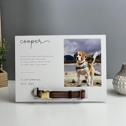 Memorial Pet Collar Frame, Pet Loss Gift, Memorial Pet Collar With Photo