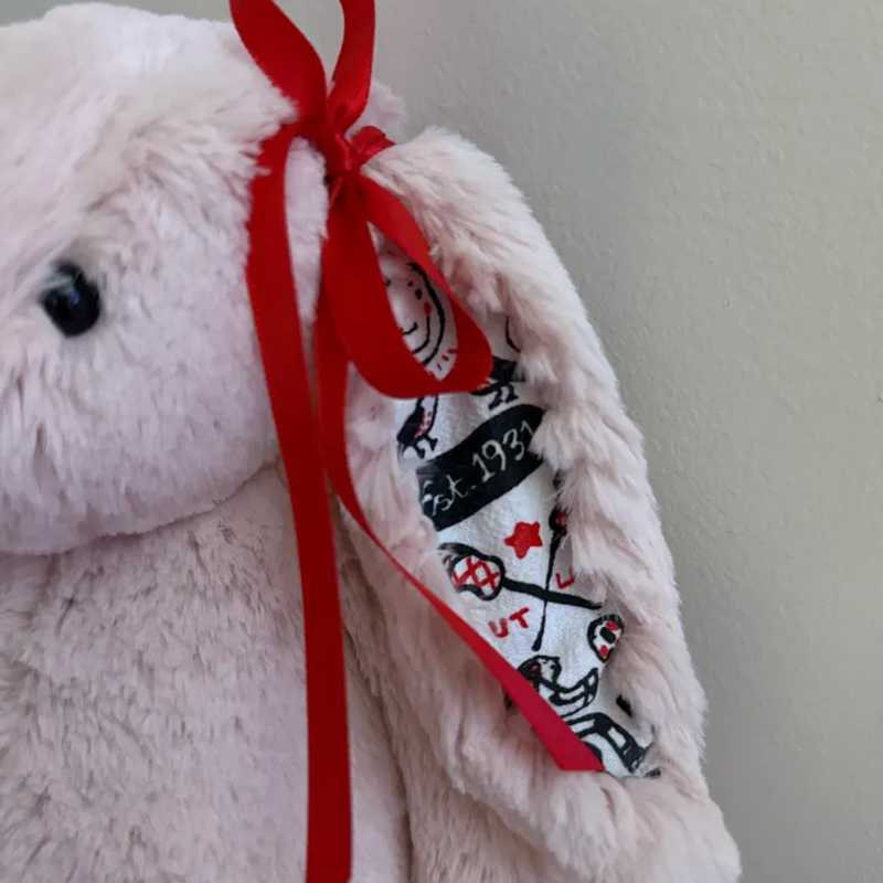 Graduation Bunny  Custom Collegiate Bunny: College Acceptance
