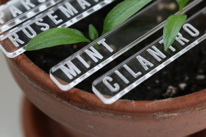 Laser Engraved Clear Veggie/Herb Garden Tags Packs