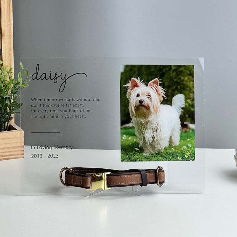 Memorial Pet Collar Frame, Pet Loss Gift, Memorial Pet Collar With Photo