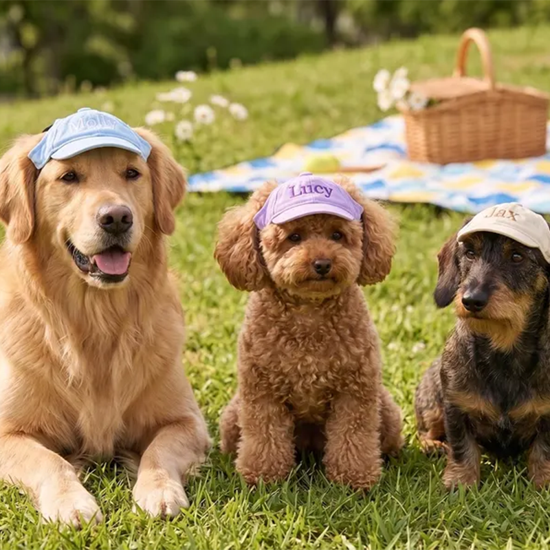 Custom Dog Hat with Embroidered Name,Pet Baseball Cap with Ear Holes