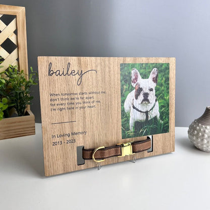 Memorial Pet Collar Frame, Pet Loss Gift, Memorial Pet Collar With Photo