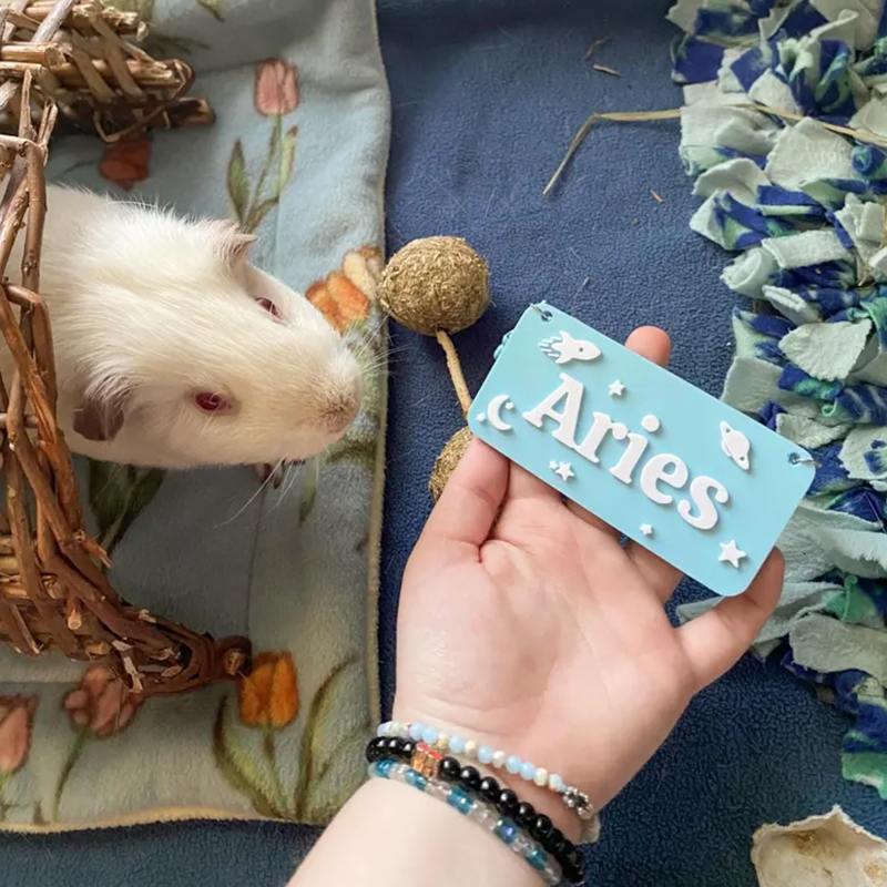 Custom Small Pet Cage Name Tag For Guinea Pigs, Rabbits, Hamsters