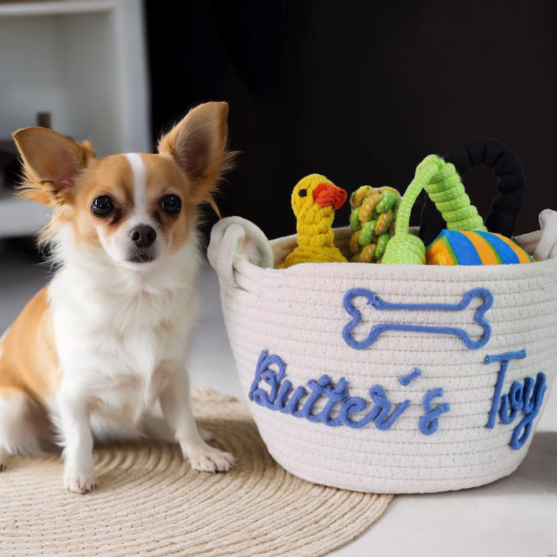 Personalized Cat toy basket Custom kitten treat bin