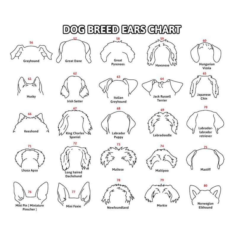 Custom Memorial Dog Ears Art, Collar Sign, Dog Memorial