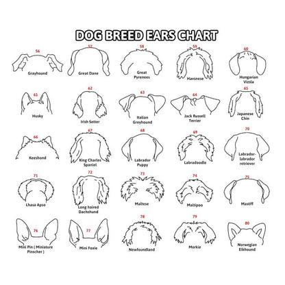 Custom Memorial Dog Ears Art, Collar Sign, Dog Memorial