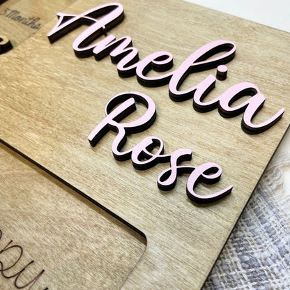 Personalized Baby Monthly Milestone Frames