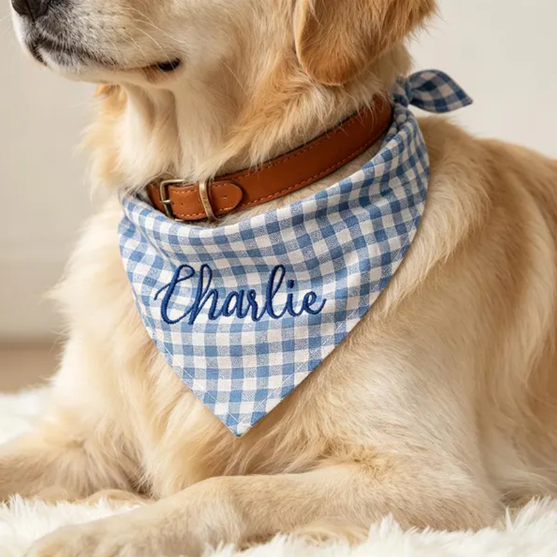 Custom Embroidered Gingham Dog Bandana