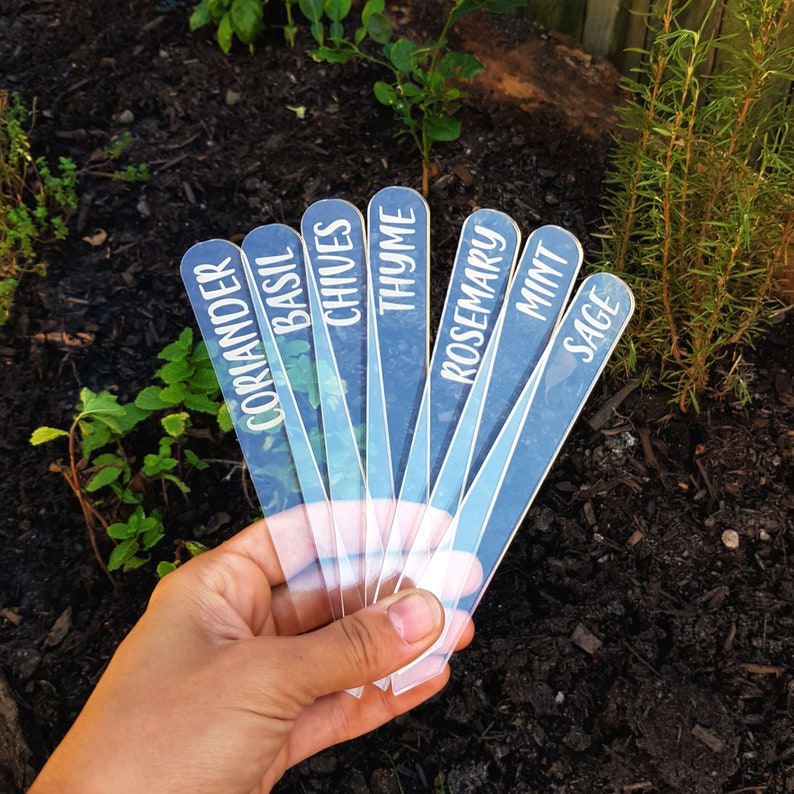 Laser Engraved Clear Veggie/Herb Garden Tags Packs