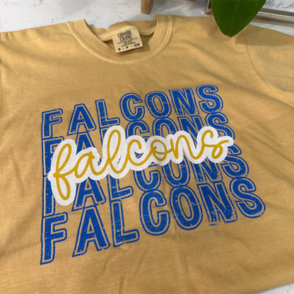 School Team Name Shirts, custom mascot shirts