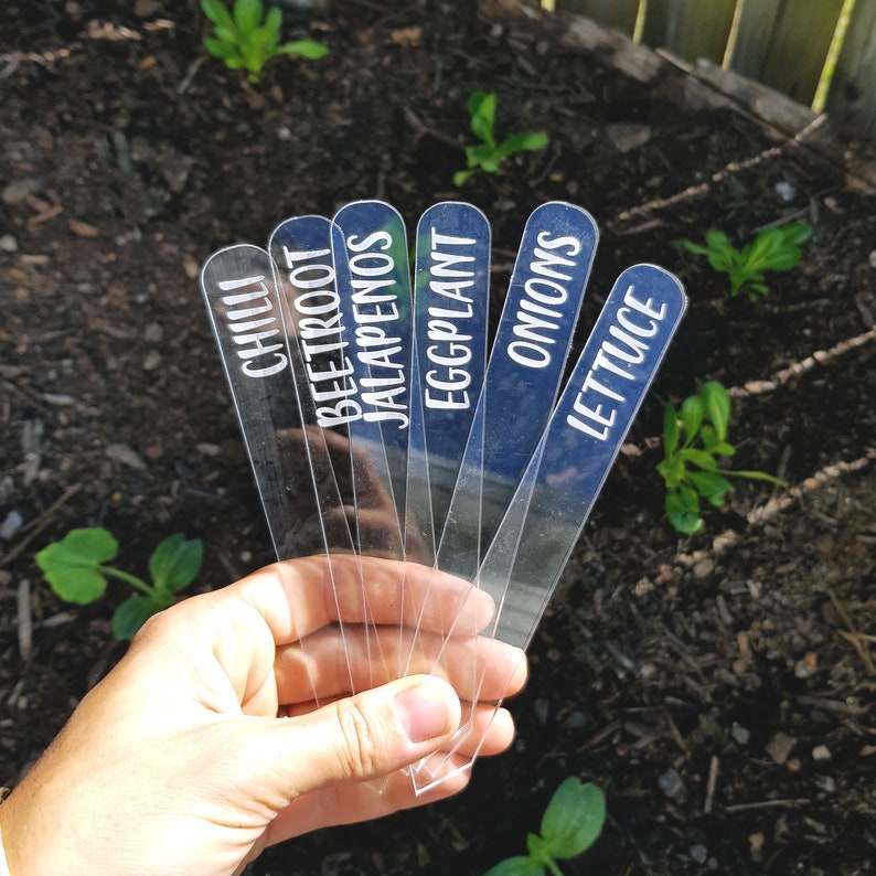 Laser Engraved Clear Veggie/Herb Garden Tags Packs