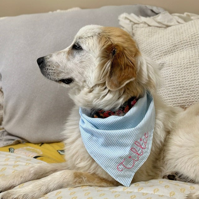 Embroidered Personalized Dog Bandana  Custom Tie On