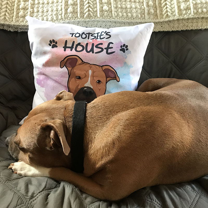Personalized Pillows, Custom Gift for Dog Lovers