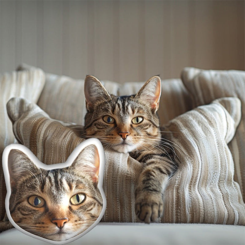 Custom pet pillow，Printed Pet Pillow
