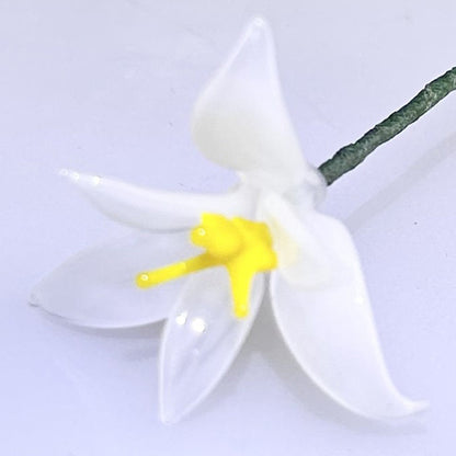 Glass Birth Month Flowers, Birth Flower Bouquet
