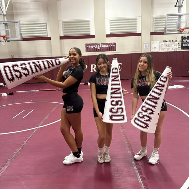 Custom order - FREE SHIPPING - custom decals for cheer megaphones
