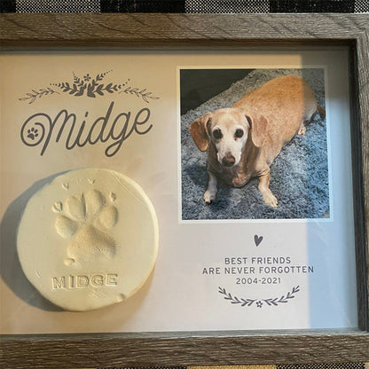 Pet Memorial Paw Print Holder Shadow Box