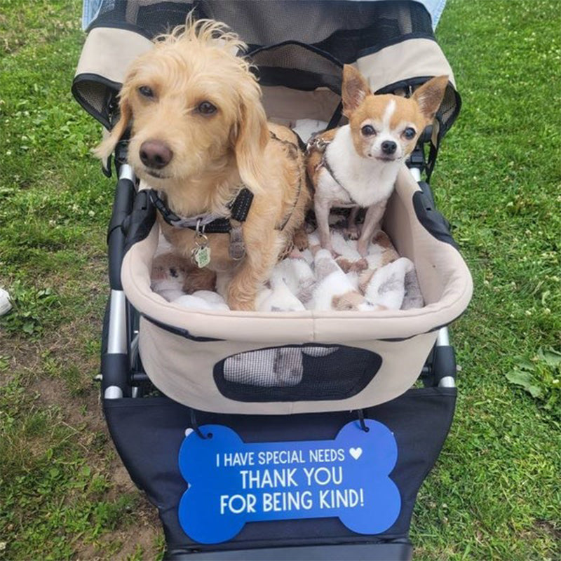 Sign for Special Needs Dogs Pet