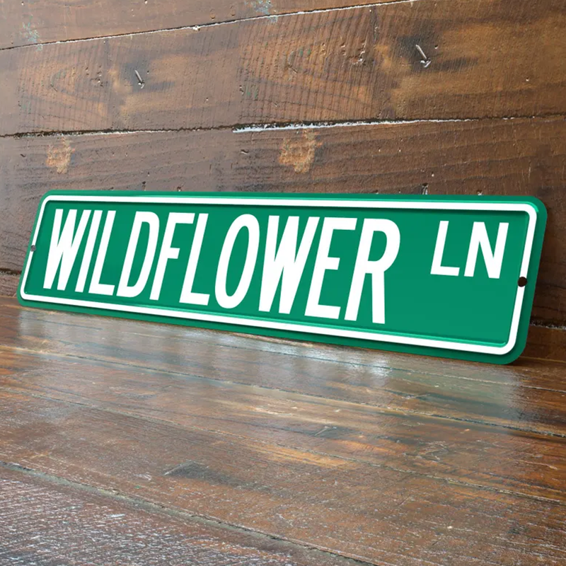 Personalized 4x18 Inch Street Sign